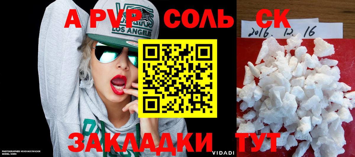 A PVP СК КРИС Заводоуковск