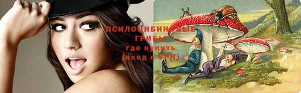 спайс Абаза