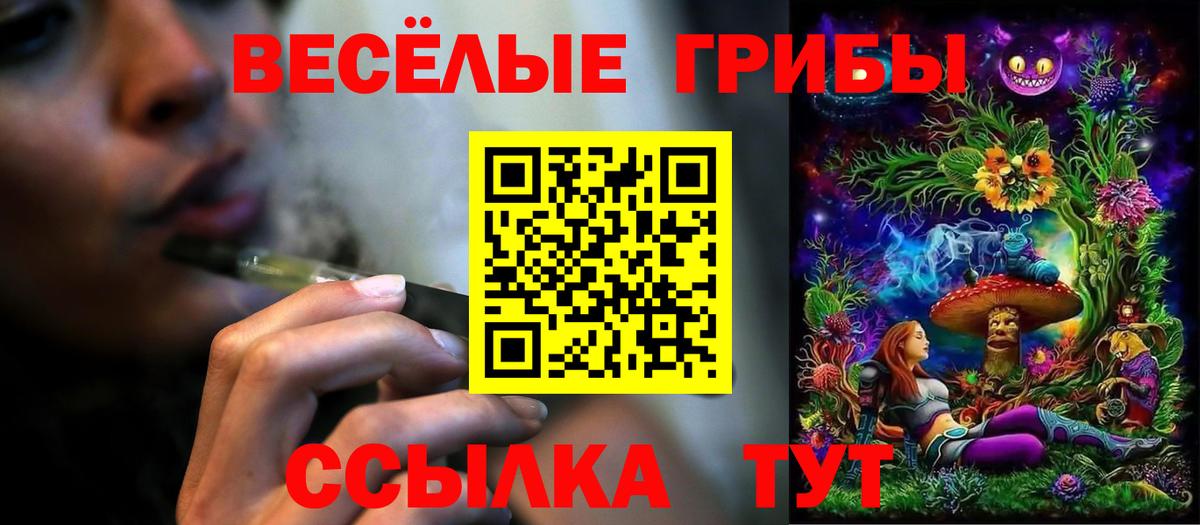Заводоуковск  Псилоцибиновые грибы Psilocybine cubensis  Вход с VPN 
